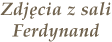 Zdjęcia z sali Ferdynand