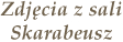 Zdjęcia z sali Ferdynand